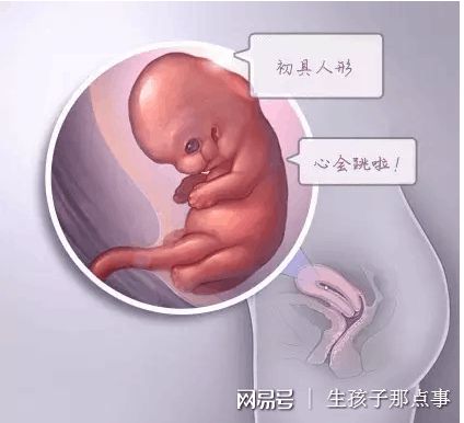 关于助孕儿子包成功